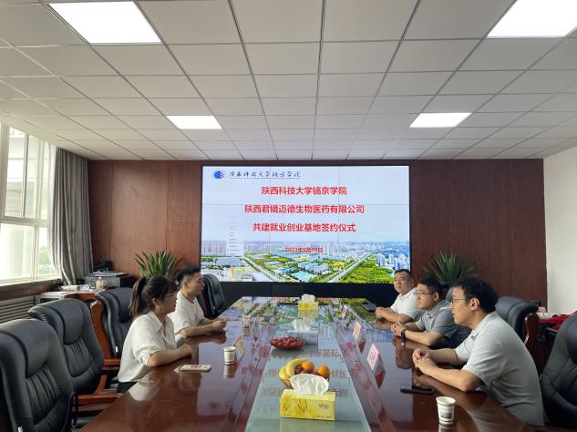 Image1 Image1